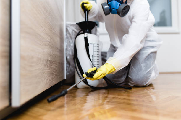 Best Cockroach Control Services  in Spanish Fort, AL
