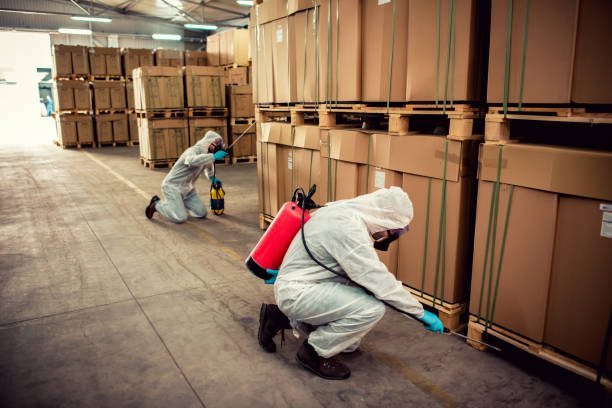 Best Wasp Removal Services  in Spanish Fort, AL