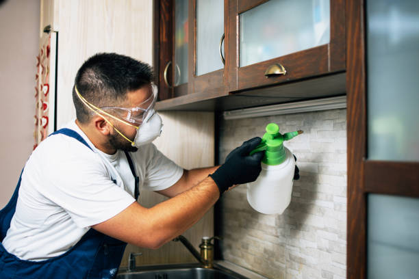 Professional Pest Control in Spanish Fort, AL