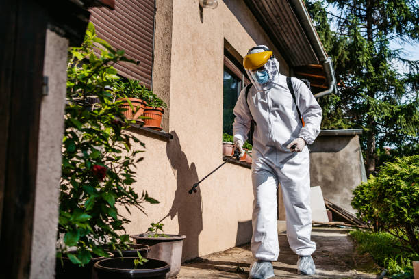 Best Local Pest Control Services  in Spanish Fort, AL
