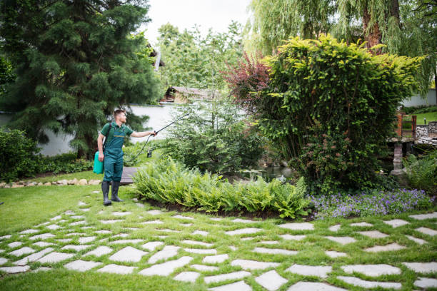 Best Affordable Pest Control Services  in Spanish Fort, AL