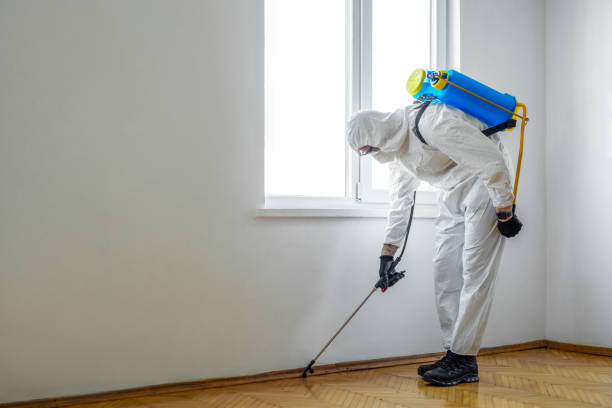 Best Pest Inspection Near Me  in Spanish Fort, AL