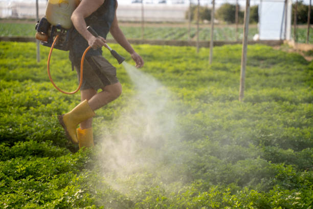 Best Pest Control for Homes  in Spanish Fort, AL