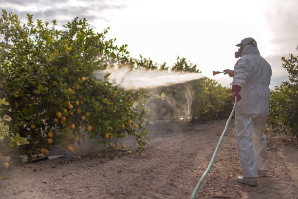 Best Emergency Pest Control  in Spanish Fort, AL
