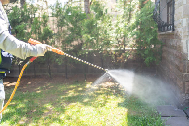 Wasp Removal Services in Spanish Fort, AL