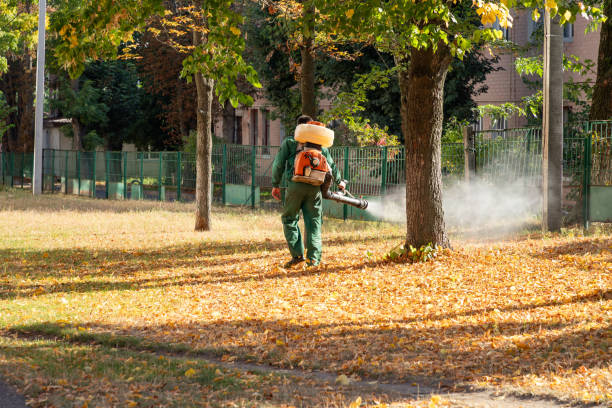 Best Rat Extermination Near Me  in Spanish Fort, AL