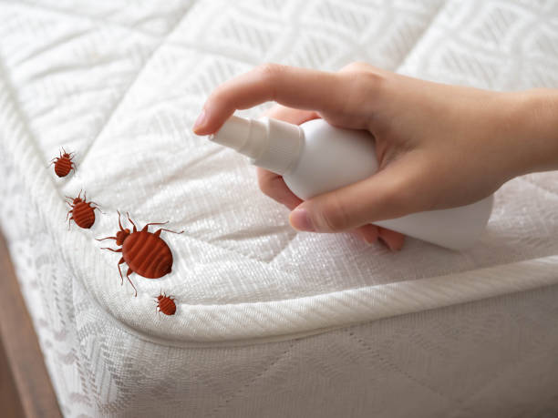 Best Local Pest Control Services  in Spanish Fort, AL